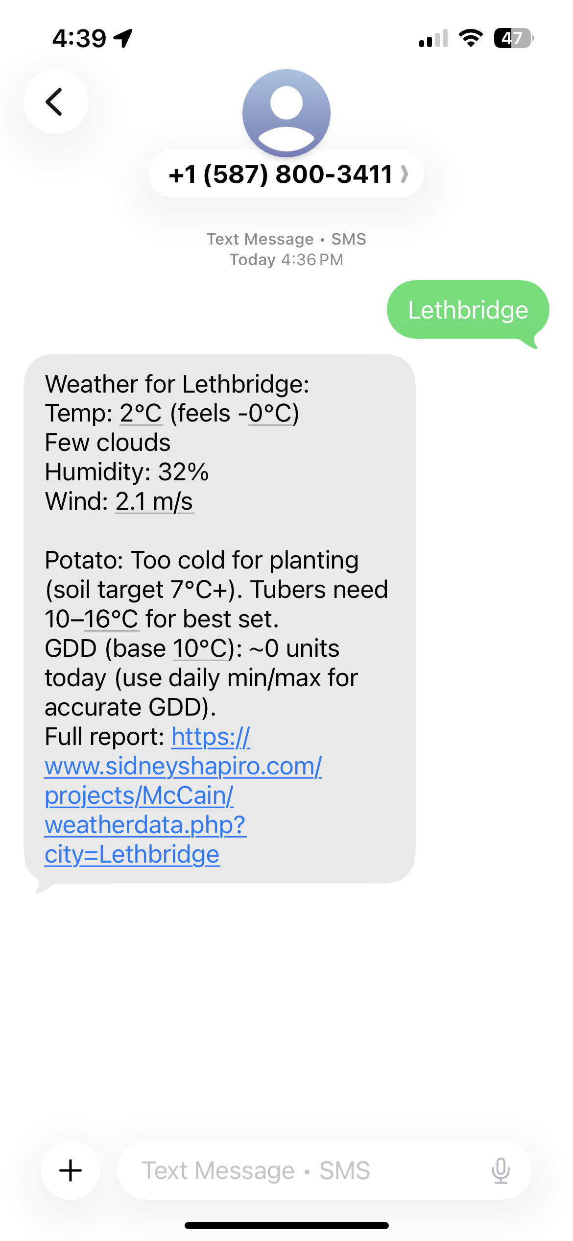 Potato